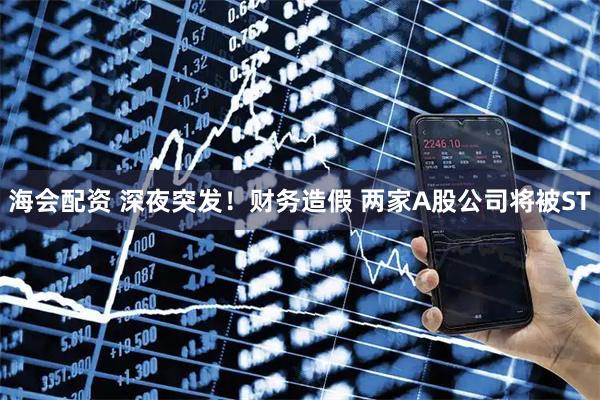 海会配资 深夜突发！财务造假 两家A股公司将被ST